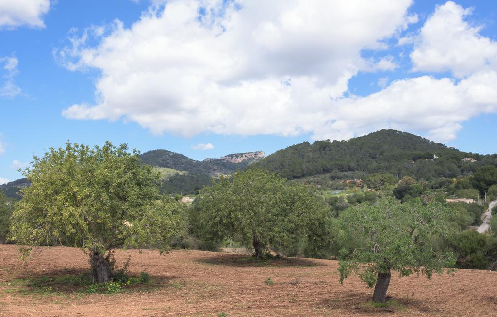 Finca Batlet S'Horta Exterior photo